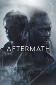 Aftermath (2024) Hindi Dubbed