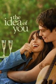 The Idea of You (2024) Hindi Dubbed