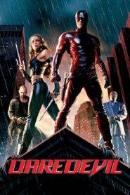 Daredevil (2003) Hindi Dubbed