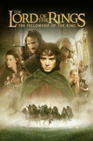 The Lord of the Rings: The Fellowship of the Ring (2001) Hindi Dubbed