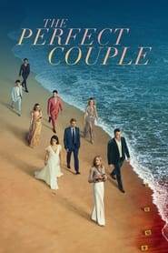 The Perfect Couple (2024) Hindi Season 1 Complete Netflix