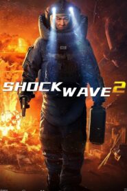 Shock Wave 2 (2020) Hindi Dubbed